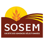 sosem