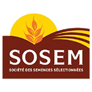 sosem